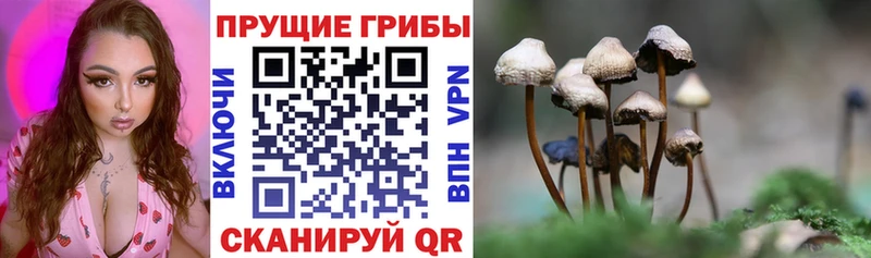 ОМГ ОМГ ССЫЛКА  Данков  Псилоцибиновые грибы прущие грибы 