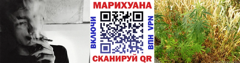 Бошки Шишки семена  Данков 